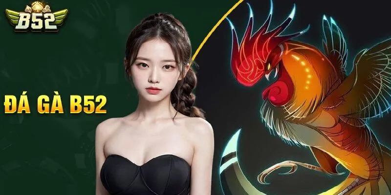 Bạn có thể chọn lựa trải nghiệm đá gà nhiều thể loại Bạn có thể chọn lựa trải nghiệm đá gà nhiều thể loại