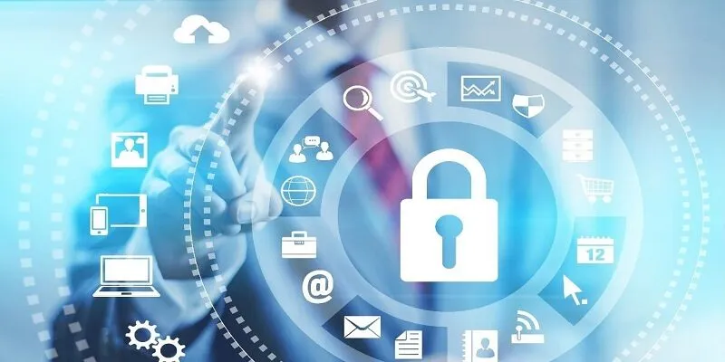 Cách sử dụng dữ liệu