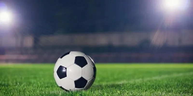 Lưu ý cơ bản cho anh em khi chơi kèo rung